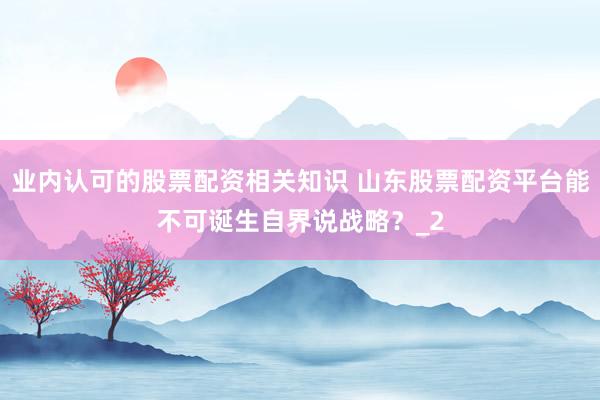 业内认可的股票配资相关知识 山东股票配资平台能不可诞生自界说战略?_2
