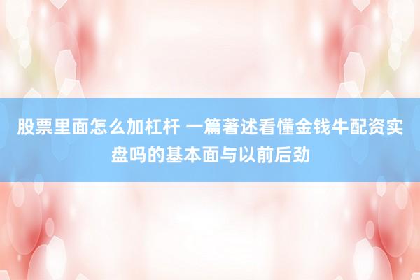 股票里面怎么加杠杆 一篇著述看懂金钱牛配资实盘吗的基本面与以前后劲