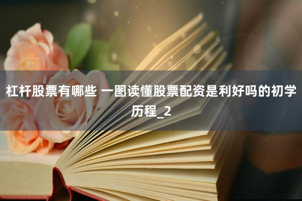 杠杆股票有哪些 一图读懂股票配资是利好吗的初学历程_2