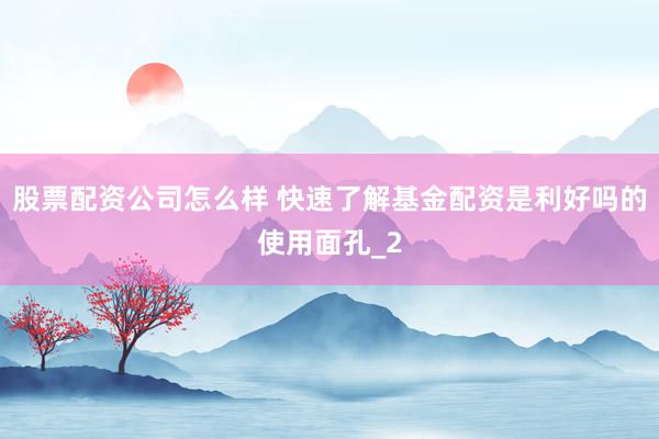 股票配资公司怎么样 快速了解基金配资是利好吗的使用面孔_2