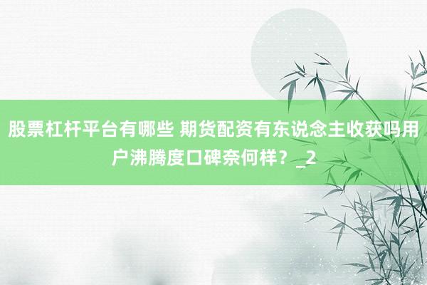 股票杠杆平台有哪些 期货配资有东说念主收获吗用户沸腾度口碑奈何样？_2
