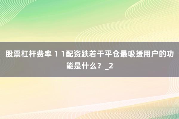 股票杠杆费率 1 1配资跌若干平仓最吸援用户的功能是什么？_2