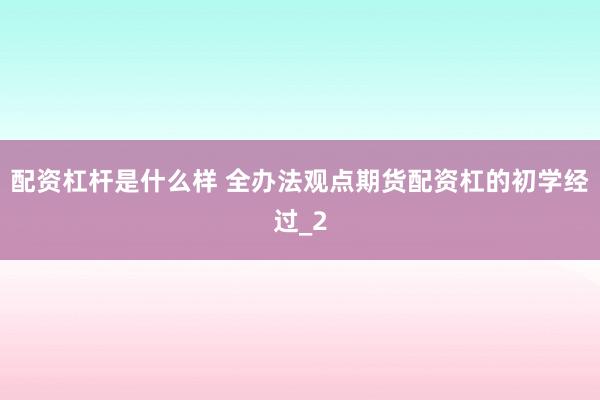 配资杠杆是什么样 全办法观点期货配资杠的初学经过_2