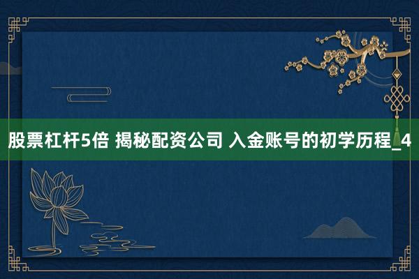 股票杠杆5倍 揭秘配资公司 入金账号的初学历程_4