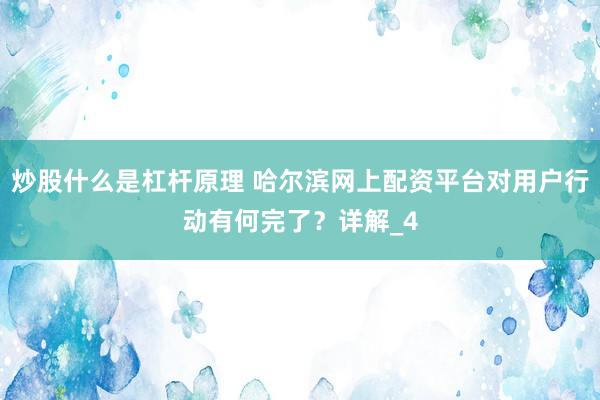 炒股什么是杠杆原理 哈尔滨网上配资平台对用户行动有何完了？详解_4