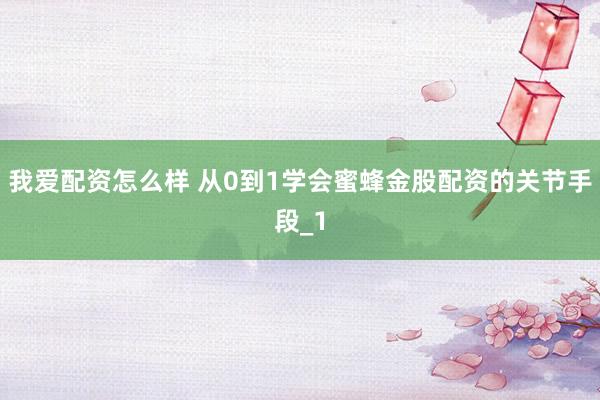我爱配资怎么样 从0到1学会蜜蜂金股配资的关节手段_1