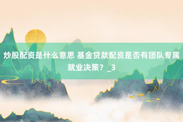 炒股配资是什么意思 基金贷款配资是否有团队专属就业决策？_3