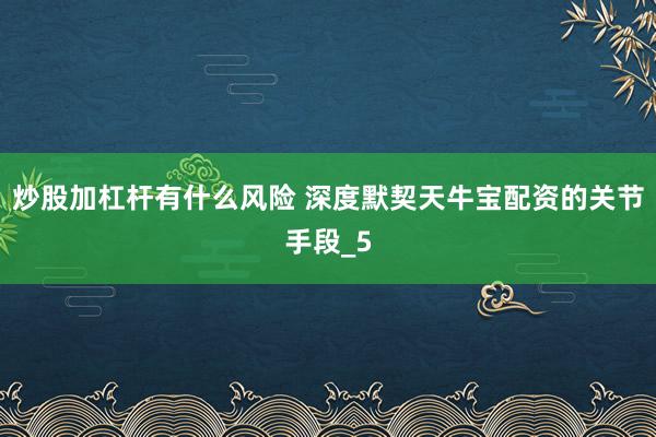炒股加杠杆有什么风险 深度默契天牛宝配资的关节手段_5