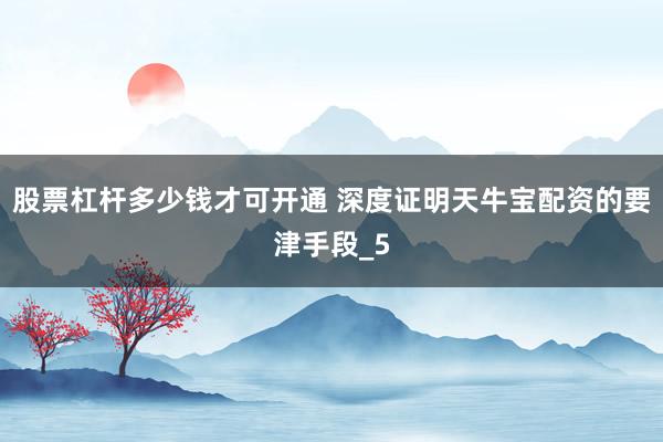 股票杠杆多少钱才可开通 深度证明天牛宝配资的要津手段_5