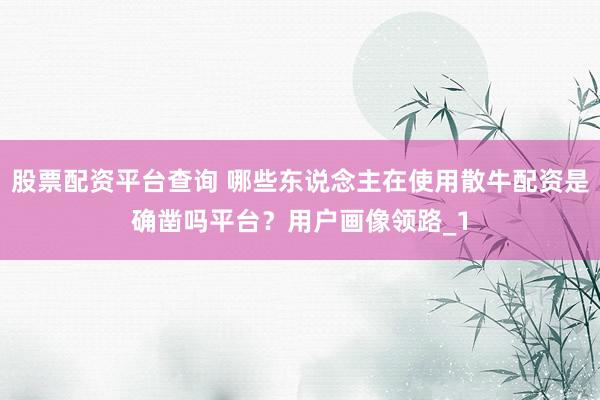 股票配资平台查询 哪些东说念主在使用散牛配资是确凿吗平台？用户画像领路_1
