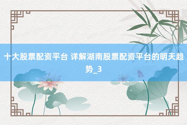 十大股票配资平台 详解湖南股票配资平台的明天趋势_3
