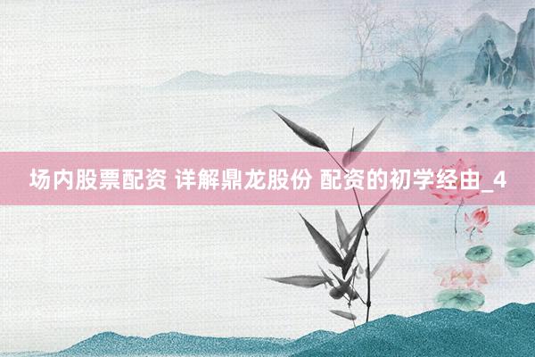场内股票配资 详解鼎龙股份 配资的初学经由_4